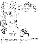 GIF file