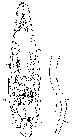 GIF file