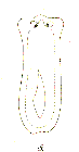 GIF file