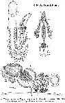 GIF file