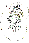 GIF file