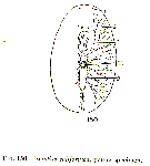 GIF file