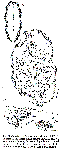 GIF file