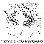 GIF file