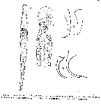 GIF file
