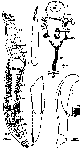 GIF file