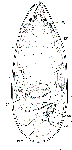 GIF file