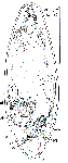 GIF file