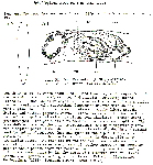 GIF file