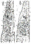 GIF file