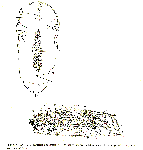 GIF file