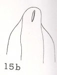 JPG file