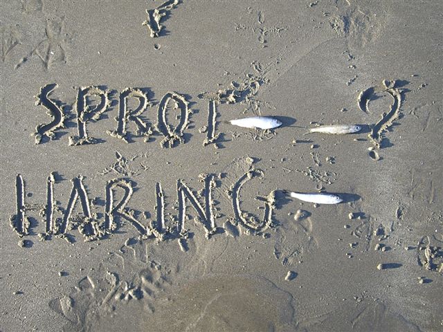 sprot en haring sprot en haring