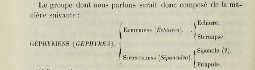 Original classification of Gephyrea by Quatrefages, 1847