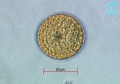 Chromista - Bacillariophyceae (diatoms)