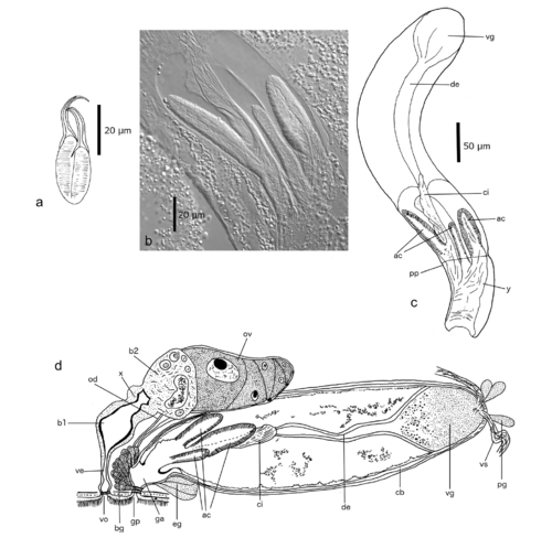 Fig. 1 (Gobert et al., 2017)