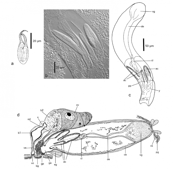 Fig. 1 (Gobert et al., 2017) Fig. 1 (Gobert et al., 2017)