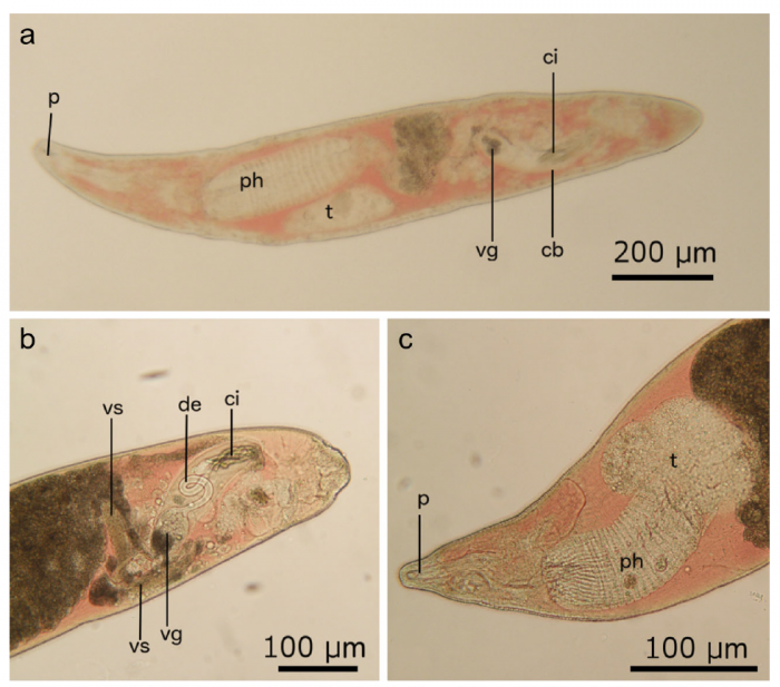 Fig. 3 (Gobert et al., 2017)