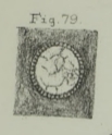 Calcisphaera cancellata Williamson, 1880