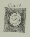 Calcisphaera cancellata Williamson, 1880 Calcisphaera cancellata Williamson, 1880