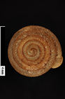 JPG file