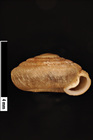 JPG file