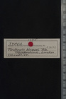 JPG file