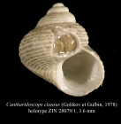 Margarites clausa Golikov, Gulbin, 1978 [holotype]
