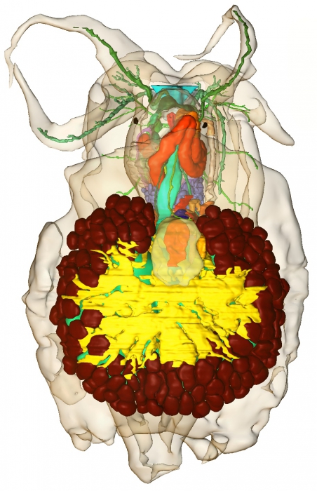 3D reconstruction