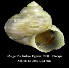 Margarites bisikovi Egorov, 2000 [holotype]