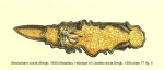 Holotype of Casella cincta Bergh, 1888, plate 77 fig. 9