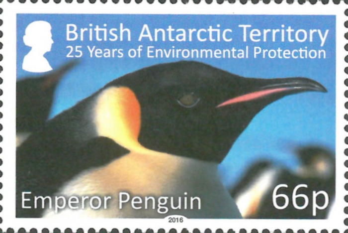 Aptenodytes forsteri Aptenodytes forsteri