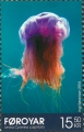 Scyphozoa (jelly fish)