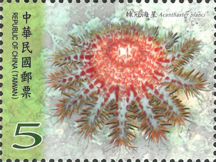 Acanthaster planci Acanthaster planci