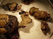 Photo of type lotINV-22538.