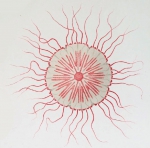 medusa, exumbrellar view from Vanhöffen (1902)