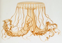 medusa drawing by Vanhöffen (1902)