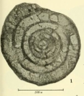 Tubispirodiscus simplissimus Browne & Pohl, 1973 