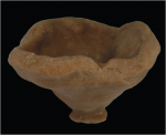 Holotype MNHN-IP-2008-233