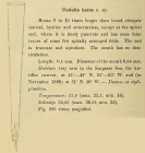 Xystonellopsis heros was originally described by Cleve (1899) as Undella hero