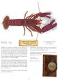 Hirsute Reef Lobster, author: Don Tuma
