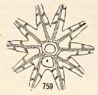 Disk of Thaumatocrinus borealis (A. H. Clark, 1907)