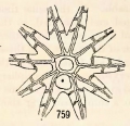 Echinodermata (echinoderms)