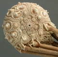 Echinodermata (echinoderms)