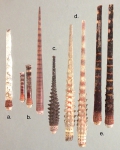 Prionocidaris baculosa (primary spines)