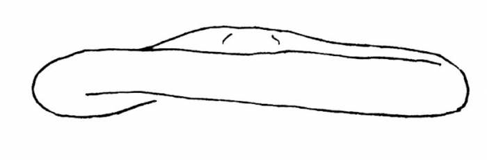 Clypeaster luetkeni (lateral)