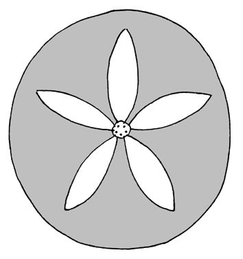Neognathostomata (petals)