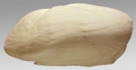 Metalia angustus (lateral)