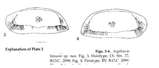 Argilloecia bensoni Barra, Aiello & Bonaduce, 1996_from the original description_Pl. 2