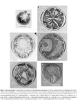 Acantholaimus Allgén, 1933